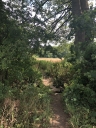 Filename=Norr15.JPG
Filesize=826KiB
Dimensions=1000x1333
Date added=Jul 21, 2018 Norr15.JPG
