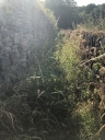 Filename=Norr37.JPG
Filesize=734KiB
Dimensions=1000x1333
Date added=Jul 21, 2018 Norr37.JPG