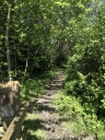 Filename=dw01.JPG
Filesize=995KiB
Dimensions=1000x1333
Date added=May 14, 2019 dw01.JPG