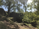 Filename=dw14.JPG
Filesize=511KiB
Dimensions=1000x750
Date added=May 14, 2019 dw14.JPG