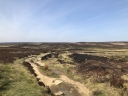 Filename=dw21.JPG
Filesize=314KiB
Dimensions=1000x750
Date added=May 14, 2019 dw21.JPG