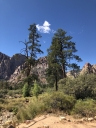 Filename=rr45.JPG
Filesize=690KiB
Dimensions=1000x1333
Date added=Oct 14, 2018 rr45.JPG