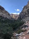 Filename=rr54.JPG
Filesize=640KiB
Dimensions=1000x1333
Date added=Oct 14, 2018 rr54.JPG
