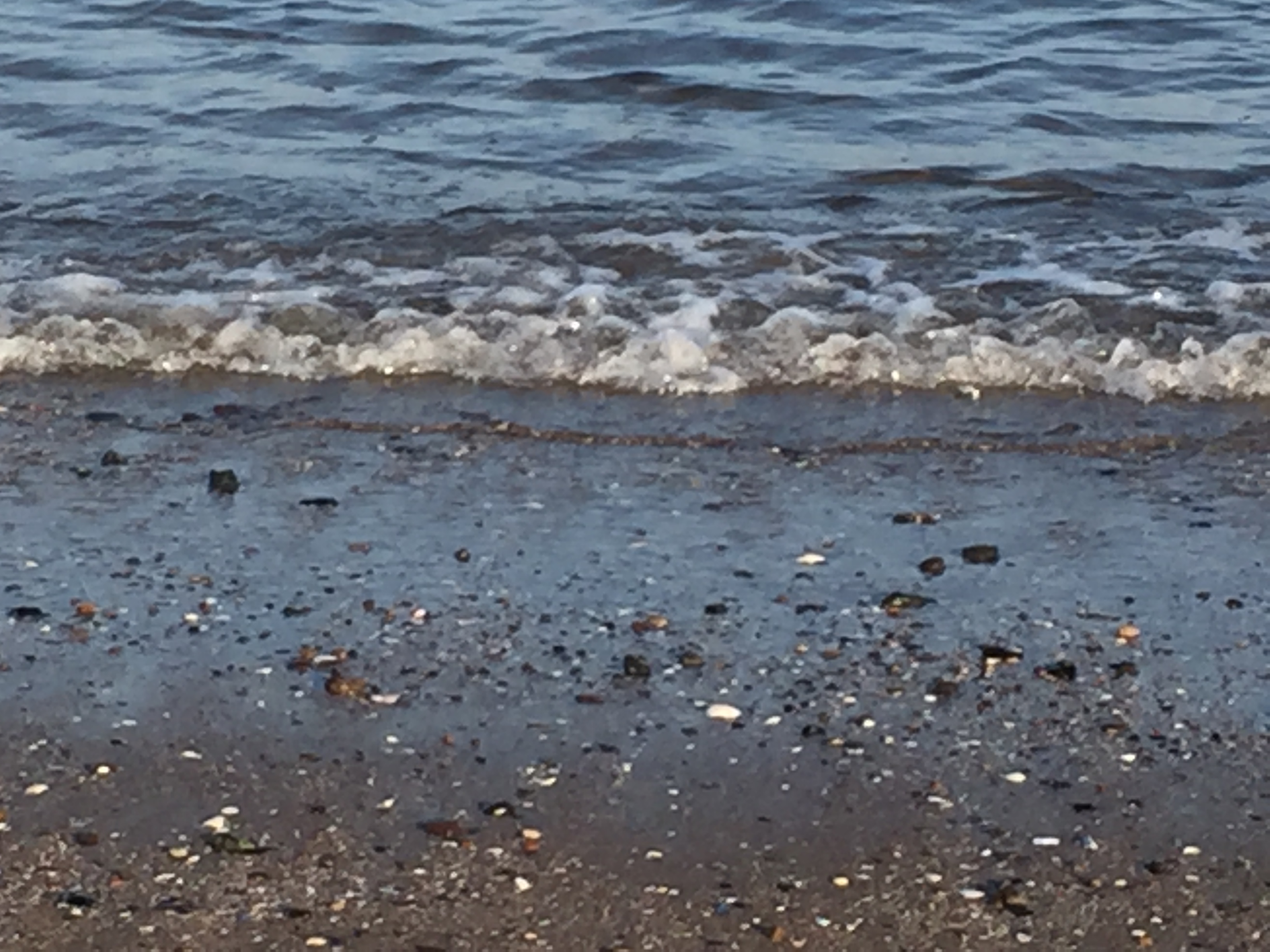 Edinburgh beach