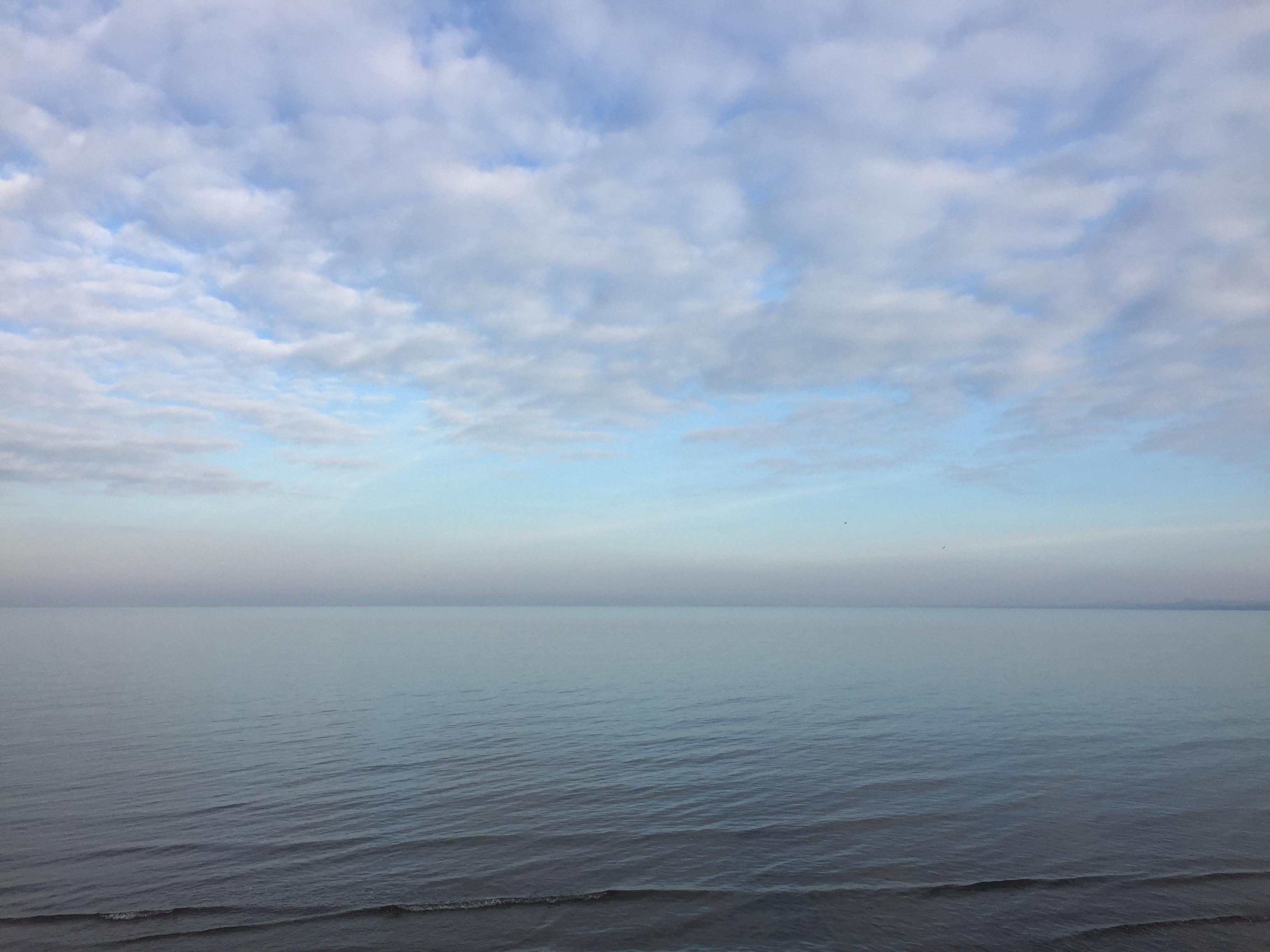 20170123_133749520_iOS