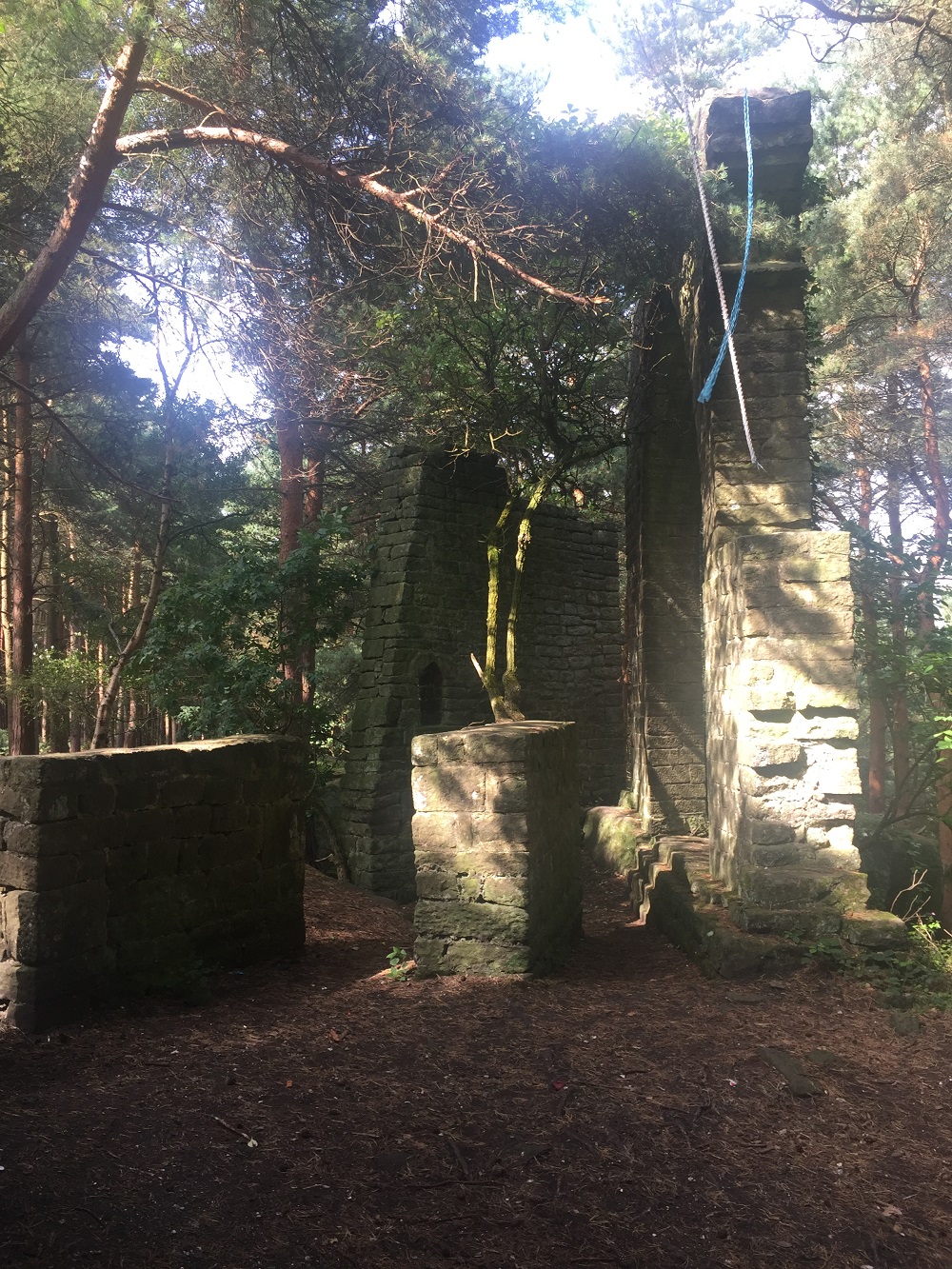 falls08