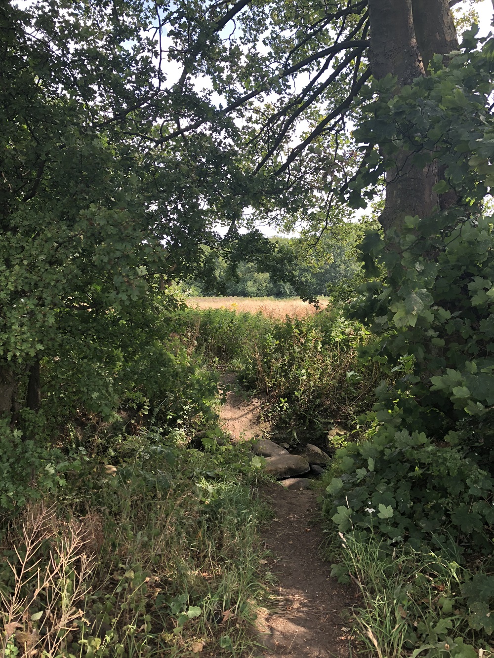 Norr Hill Hike