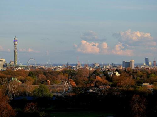 London view from Primrose Hill