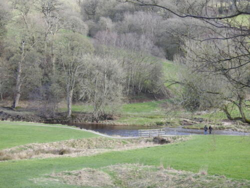 River Wharfe at Bolton Abbey