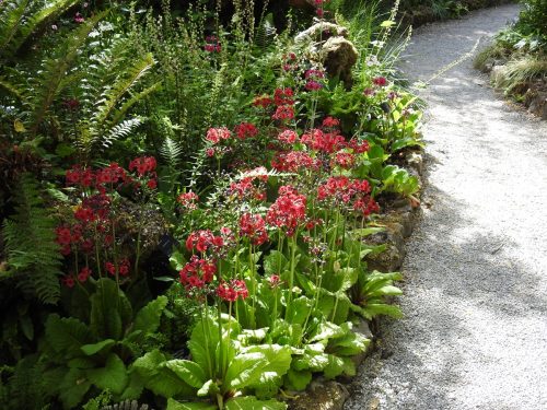 Sizergh Castle Gardens