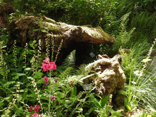 Sizergh Castle Gardens