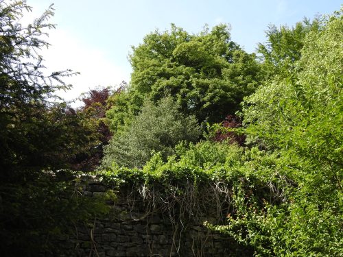 Sizergh Castle Gardens