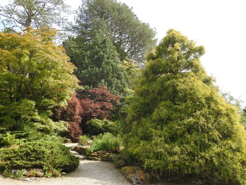 Sizergh Castle Gardens