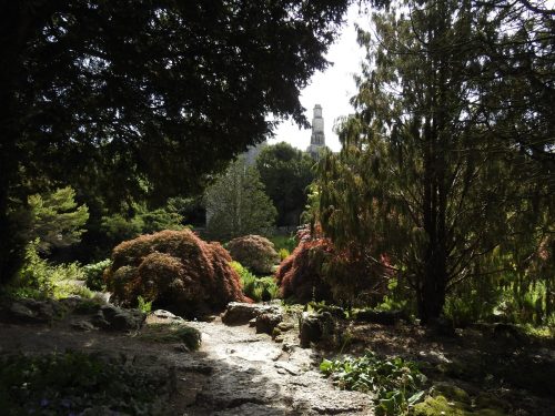 Sizergh Castle Gardens