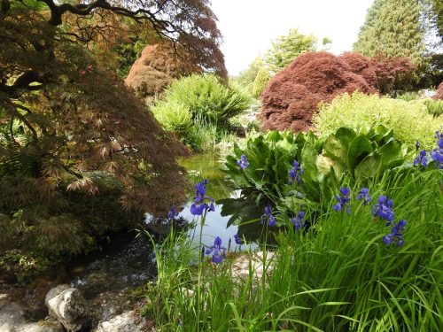 Sizergh Castle Gardens