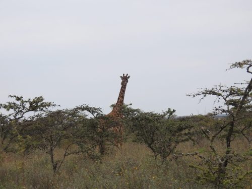 Photo Credit @ Cider