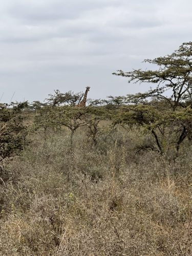 Photo Credit @ Cider