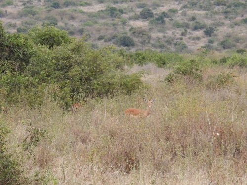 Photo Credit @ Cider