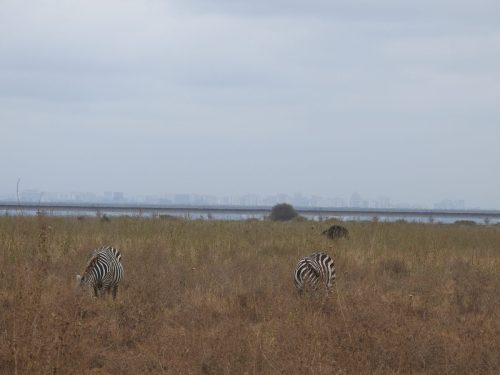 Photo Credit @ Cider