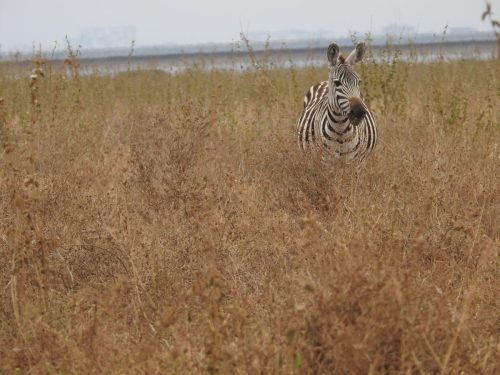 Photo Credit @ Cider