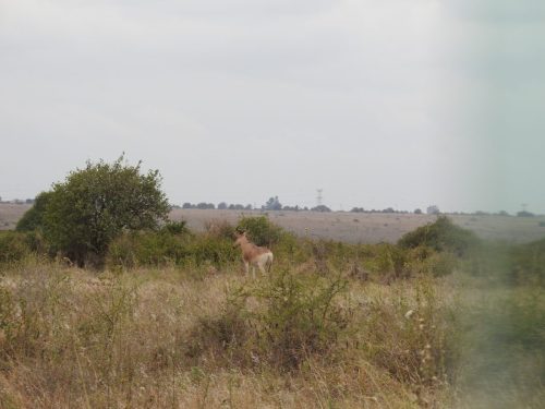 Photo Credit @ Cider