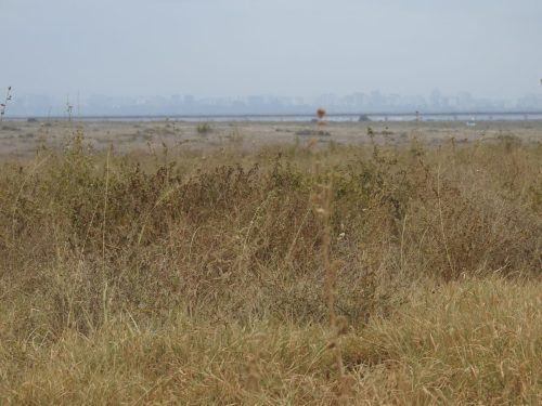 Photo Credit @ Cider