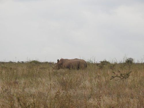 Photo Credit @ Cider