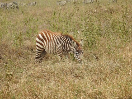 Photo Credit @ Cider