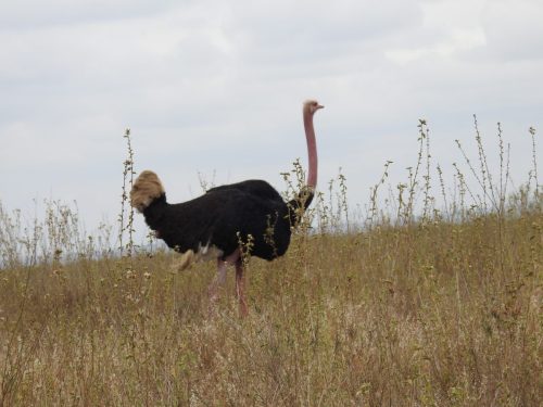 Photo Credit @ Cider