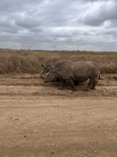 Photo Credit @ Cider