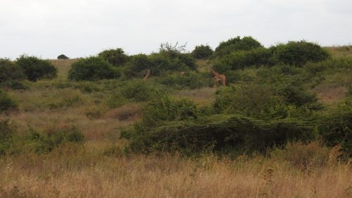 Photo Credit @ Cider