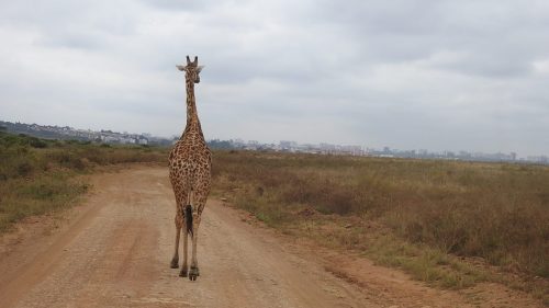 Photo Credit @ Cider