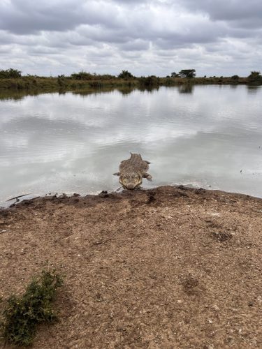 Photo Credit @ Cider