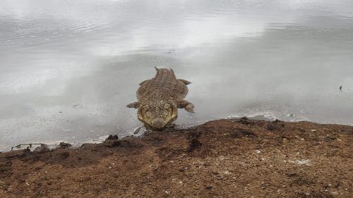 Photo Credit @ Cider