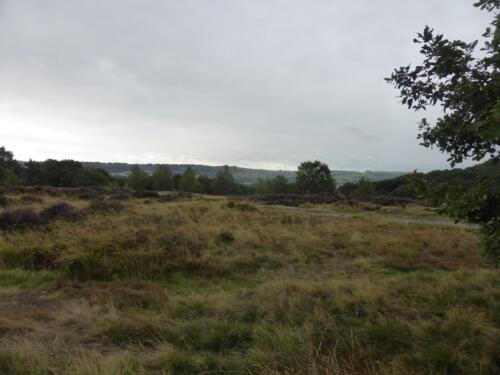 Bradford Millennium Way: Shipley Glen