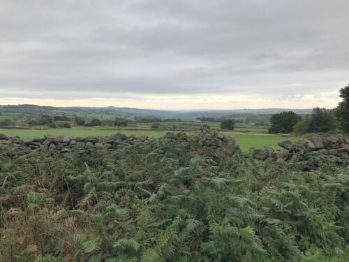 Bradford Millennium Way: View towards Leeds from Birch Close Lane