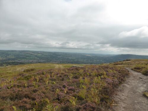 Bradford Millennium Way: Burley Moor