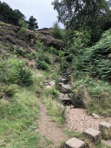 Bradford Millennium Way: Ilkley Moor