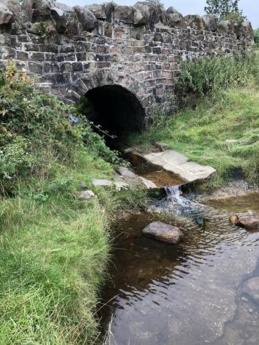 Bradford Millennium Way: Spicey Gill