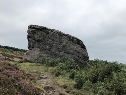 Bradford Millennium Way: Addingham High Moor