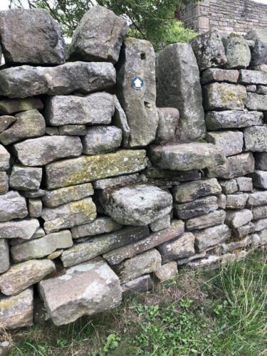 Bradford Millennium Way: Stile at Adingham