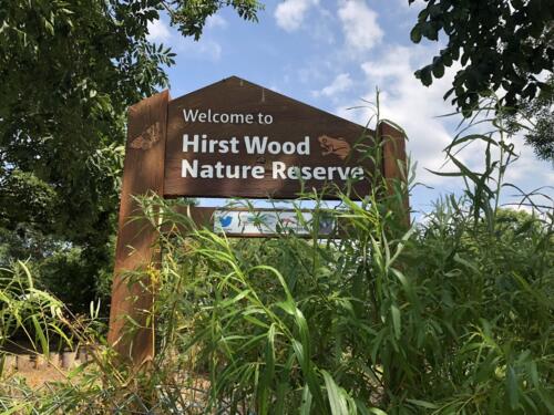 Norr Hill Hike: Hirst Wood Nature Reserve