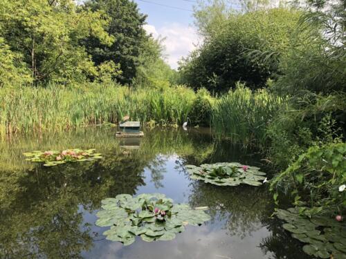 Norr Hill Hike: Hirst Wood Nature Reserve