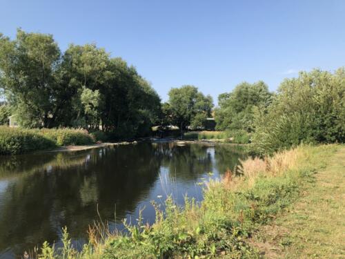 Norr Hill Hike: River Aire