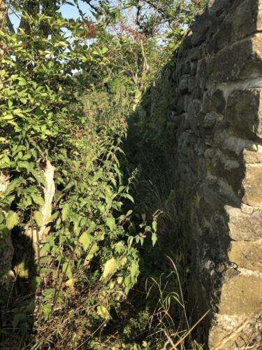 Norr Hill Hike: Pathway at Nab Wood