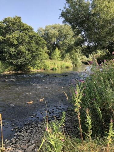 Norr Hill Hike: River Aire