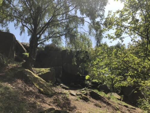 Dalesway Link Hike: Shipley Glen