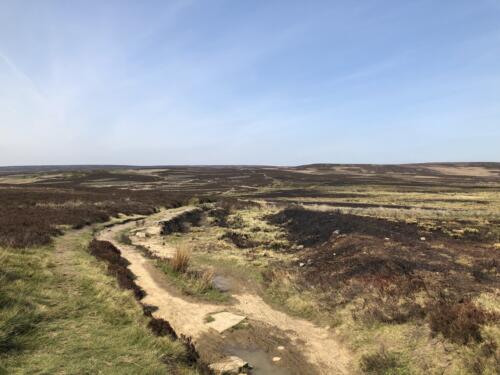 Dalesway Link Hike: Bingley Moor