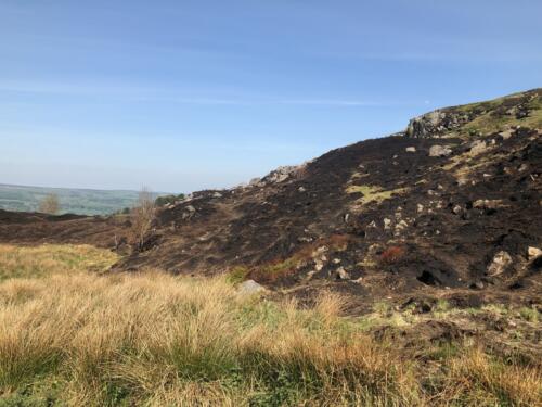 Dalesway Link Hike: Rocky Valley