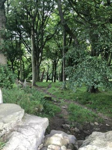 Stoodley Pike Hike: Top of the Woods from New Road